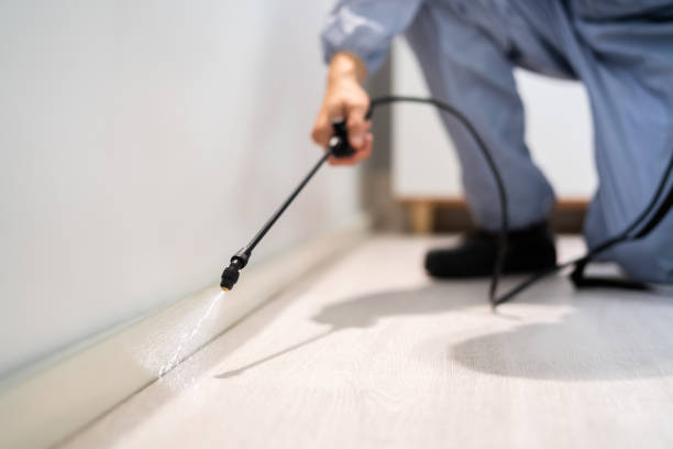 Licensed Termite Control service in Brandenburg, KY - Nex Pest Control