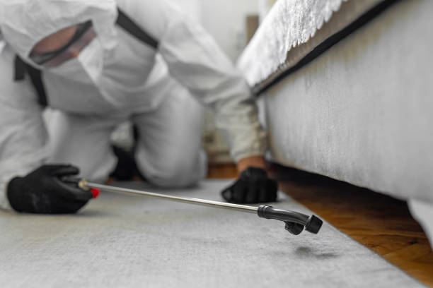 Professional Termite Control technician working in Brandenburg, KY