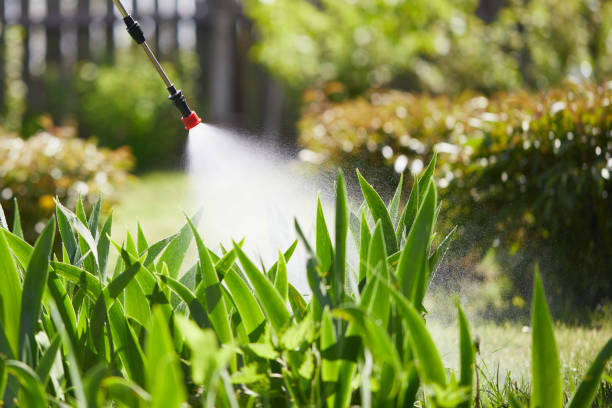 24/7 Emergency Termite Control experts in Brandenburg, KY