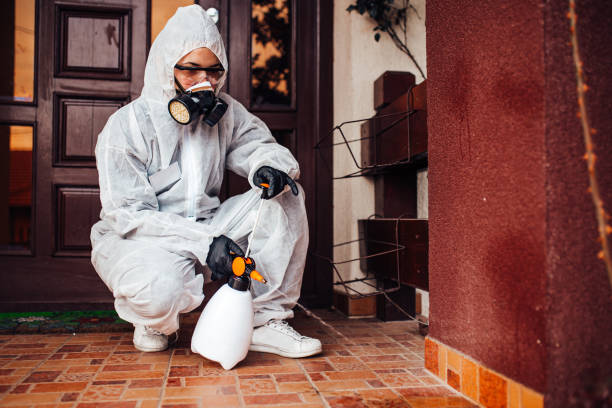 Reliable Termite Control contractor in Brandenburg, KY by Nex Pest Control
